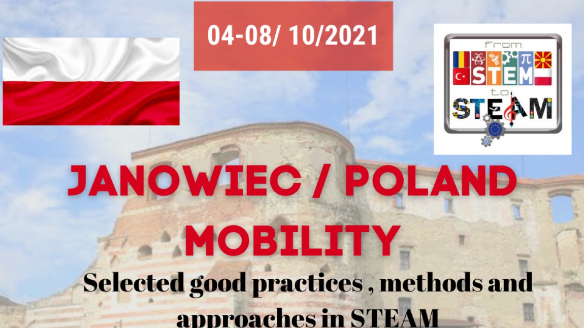 From Stem To Steam Polonya'da